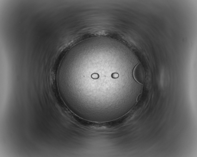 X0000083970747200703091802