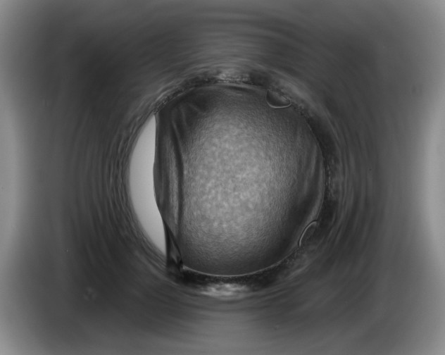 X0000083970748200703091802