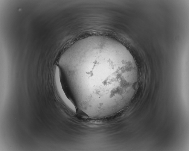 X0000083970749200703091802