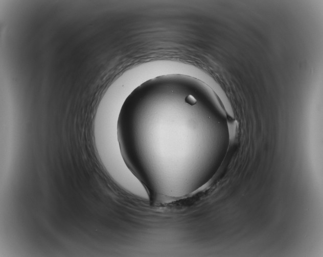 X0000083970750200703091802