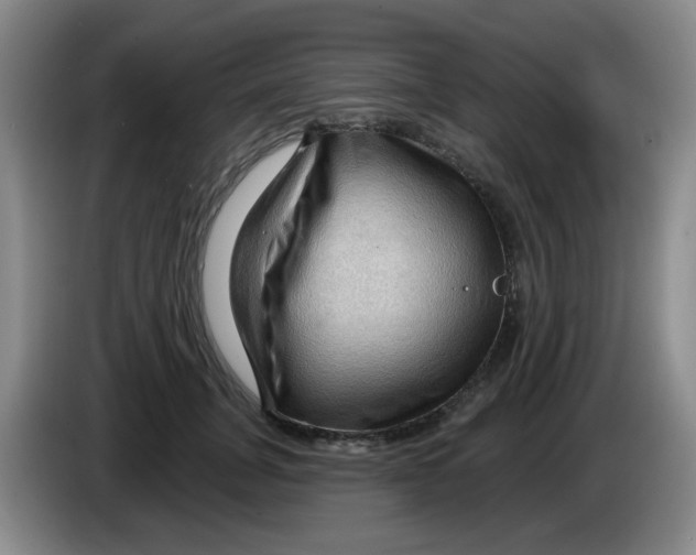 X0000083970751200703091802