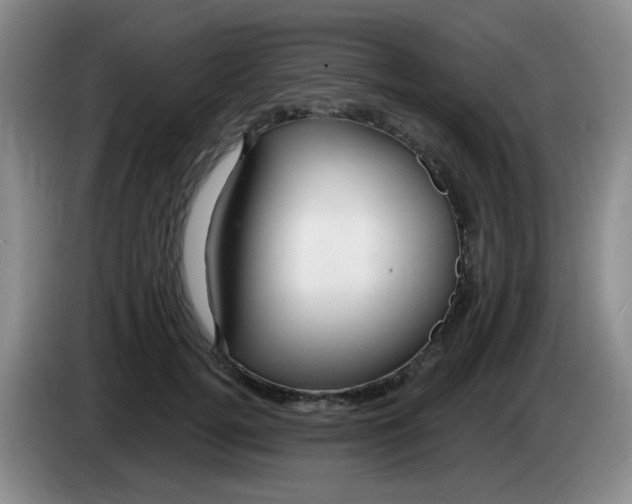 X0000083970752200703091802