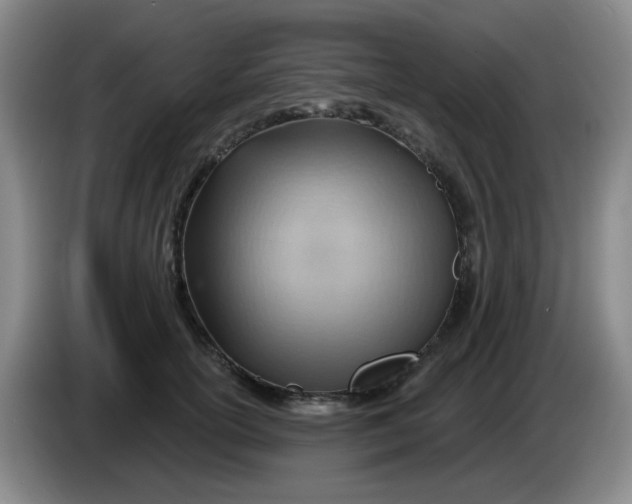 X0000083970754200703091802