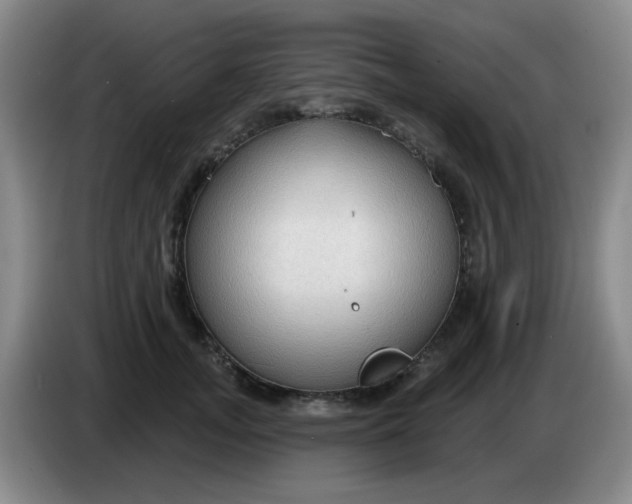 X0000083970755200703091802