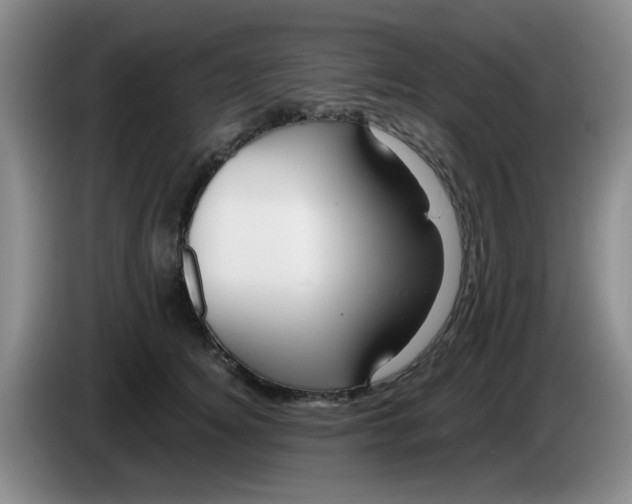X0000083970756200703091802