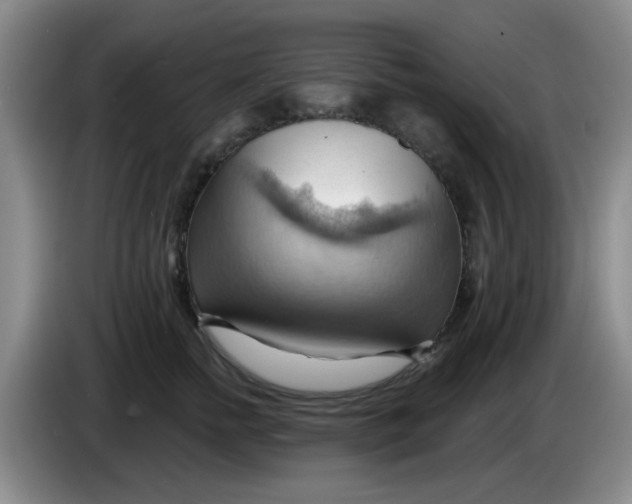 X0000083970758200703091802