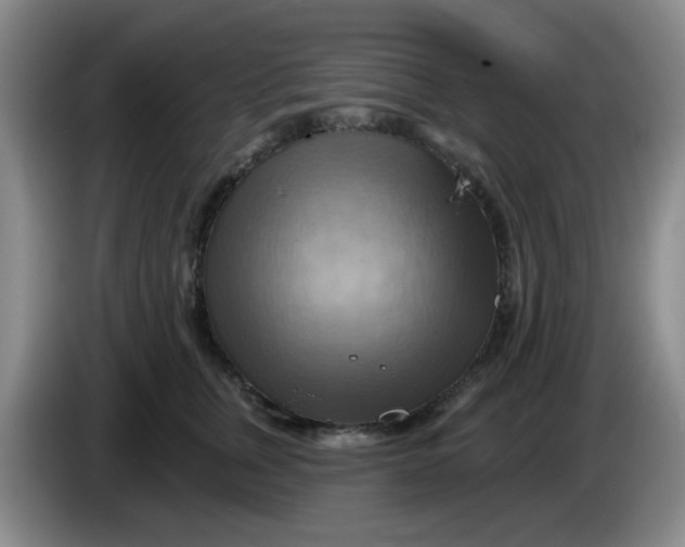 X0000083970759200703091802