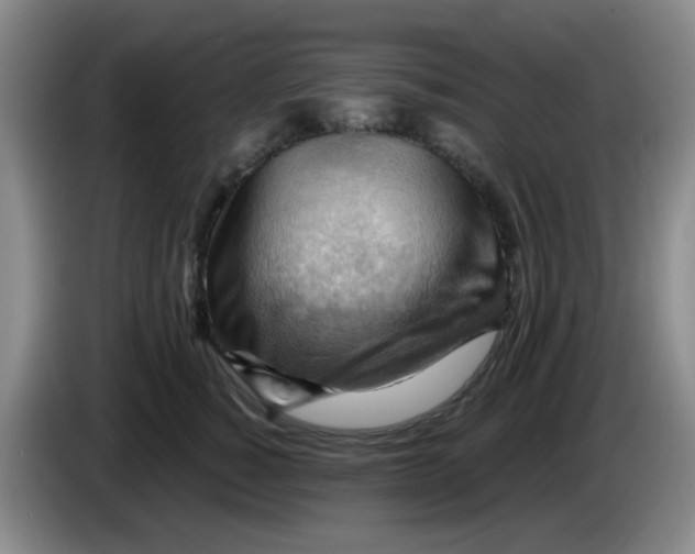X0000083970760200703091802