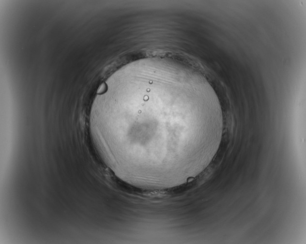X0000083970761200703091802