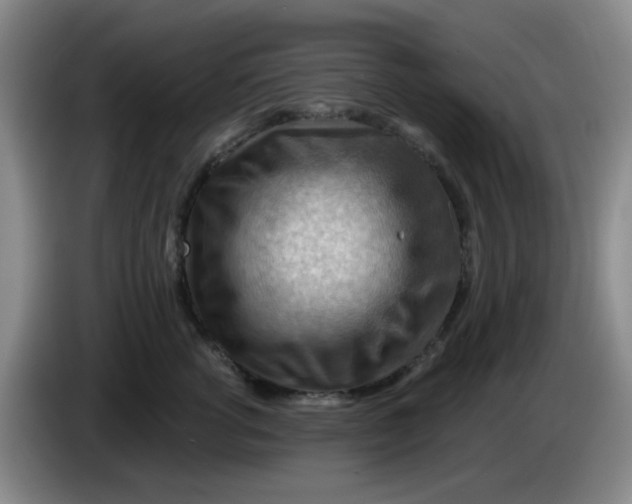 X0000083970762200703091802