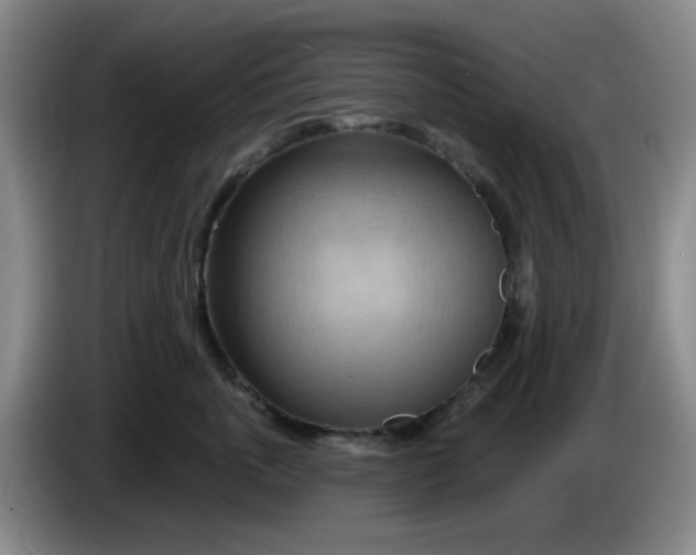 X0000083970763200703091802