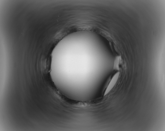 X0000083970764200703091803