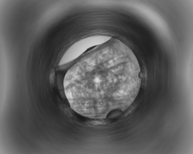 X0000083970765200703091803