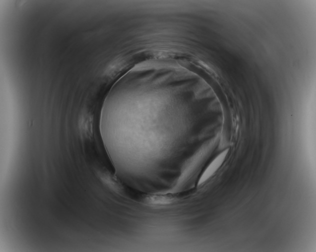 X0000083970766200703091803