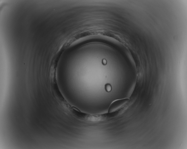 X0000083970767200703091803