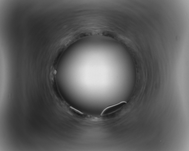 X0000083970768200703091803