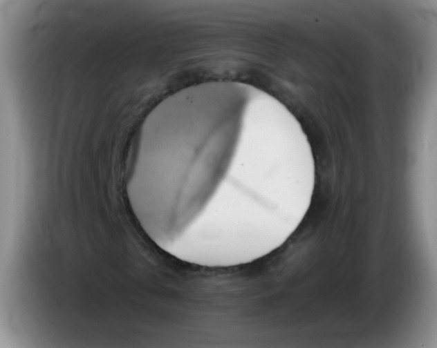 X0000083970769200703091802