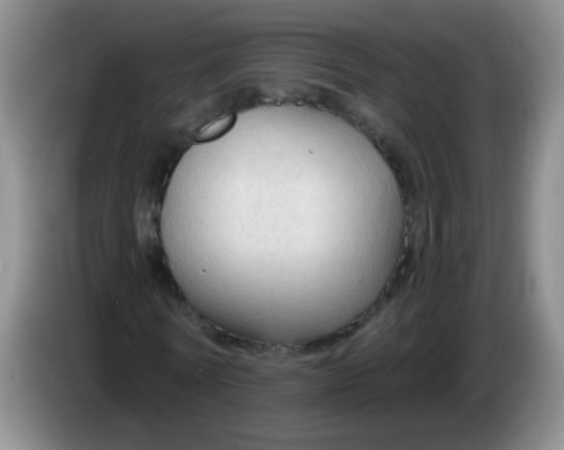 X0000083970770200703091802