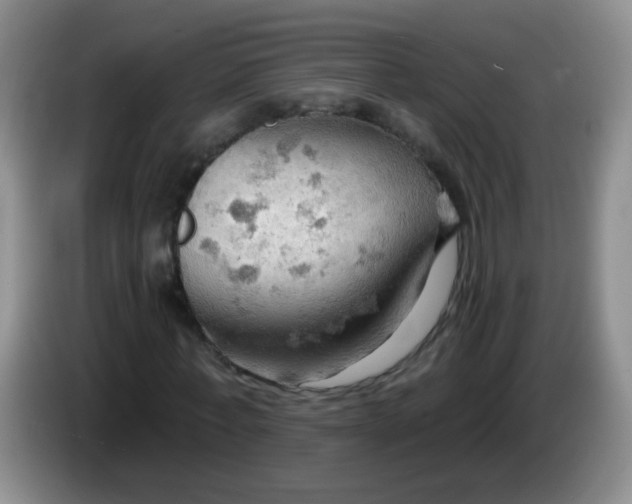X0000083970771200703091802