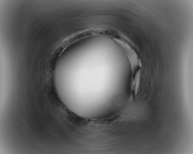 X0000083970773200703091802