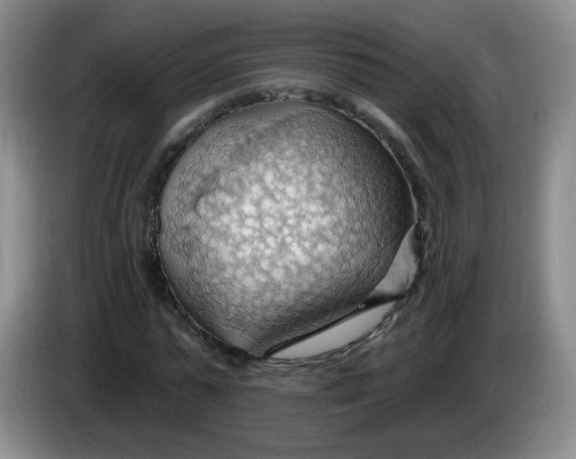 X0000083970775200703091802