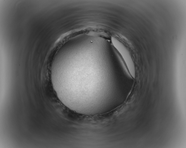 X0000083970776200703091802