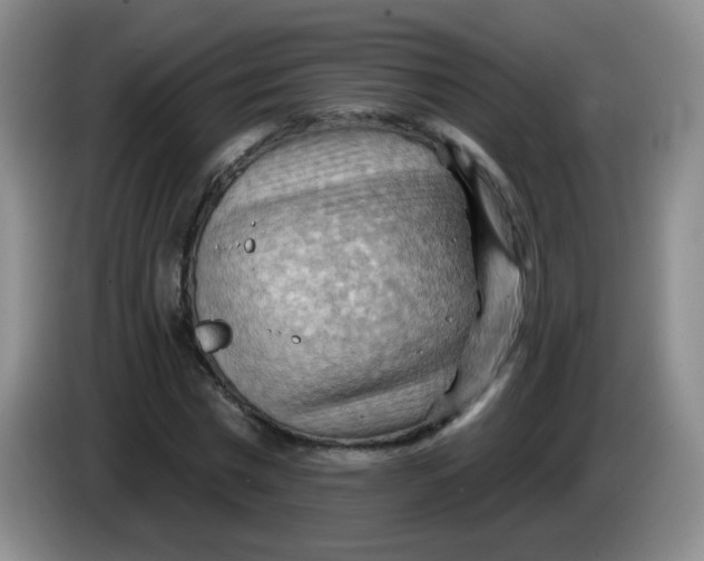 X0000083970777200703091802