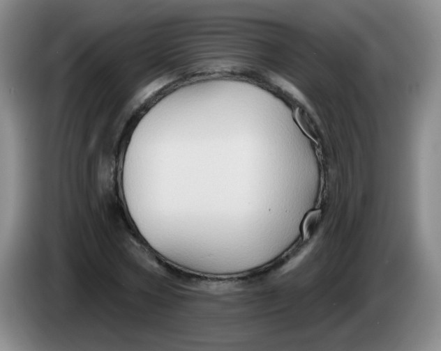 X0000083970778200703091802