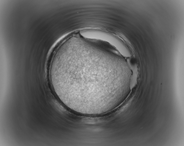 X0000083970780200703091802