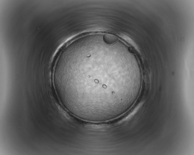 X0000083970781200703091802