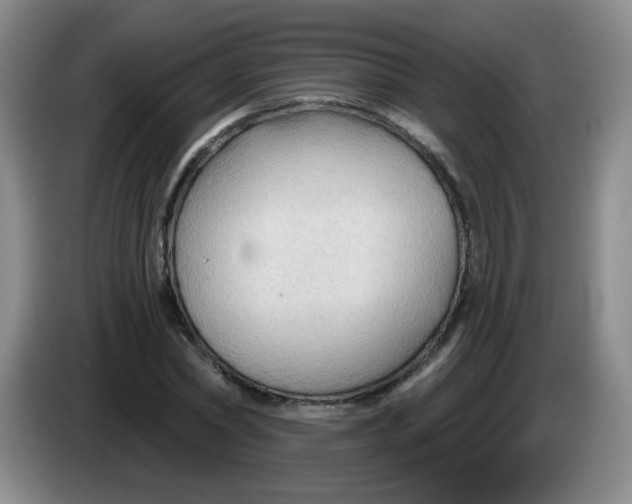 X0000083970782200703091802