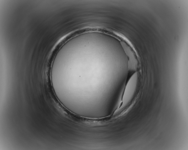 X0000083970783200703091802