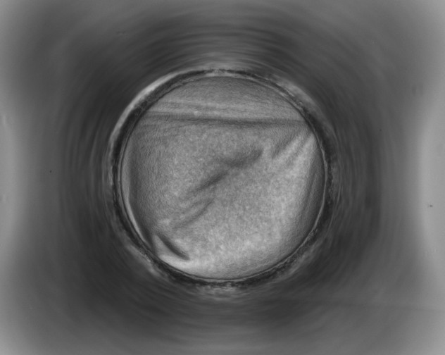 X0000083970784200703091802