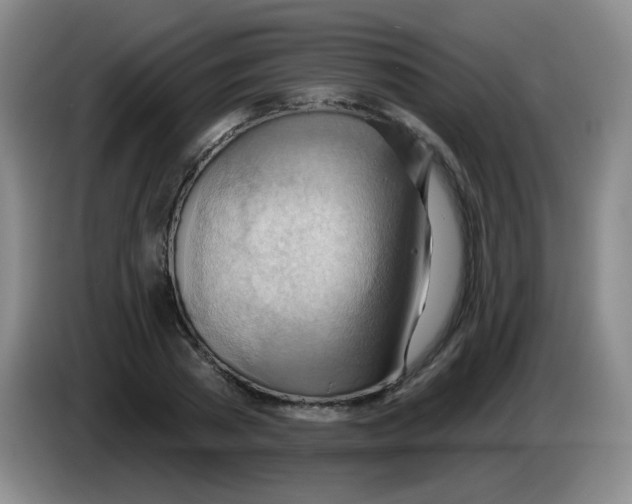 X0000083970785200703091801