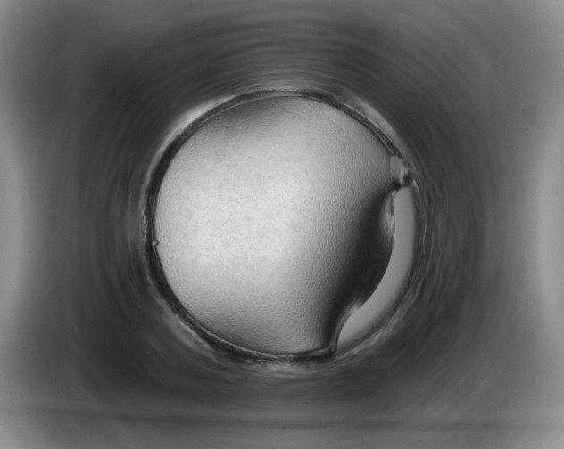 X0000083970787200703091801