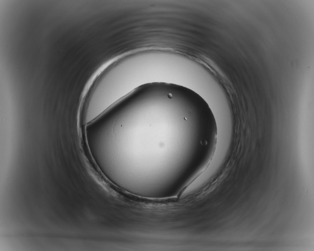 X0000083970788200703091801