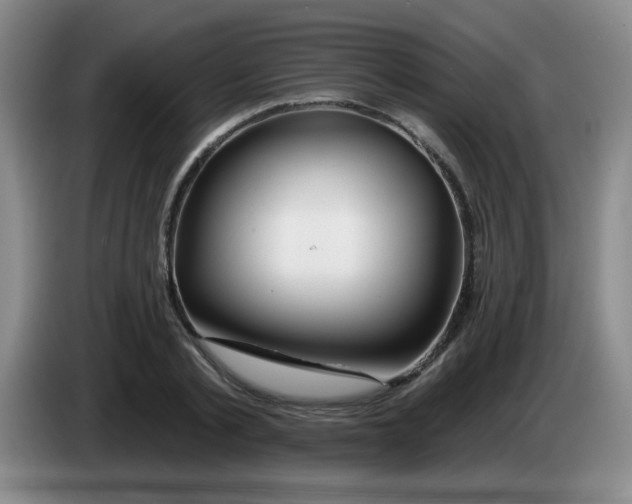 X0000083970789200703091801