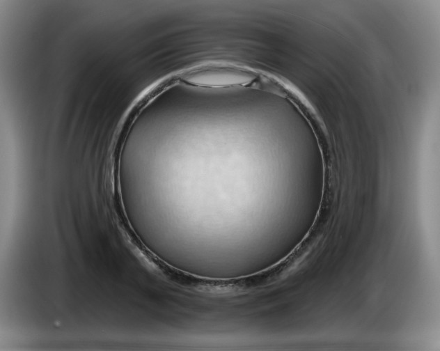X0000083970791200703091801