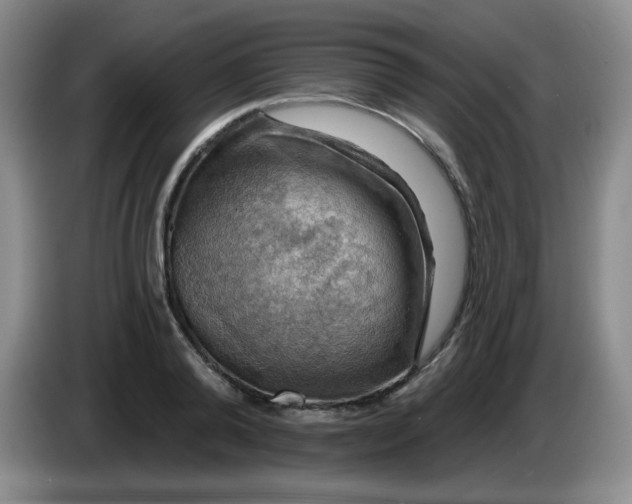 X0000083970792200703091801