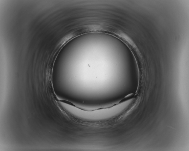 X0000083970793200703091801