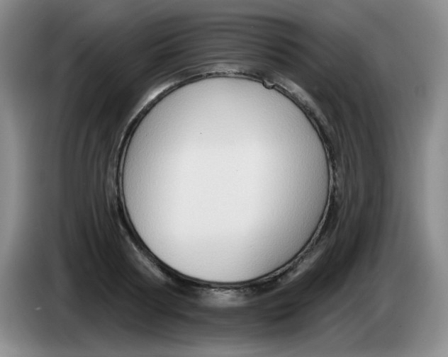 X0000083970794200703091801