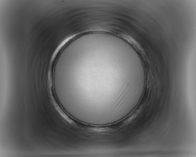 X0000083970796200703091801