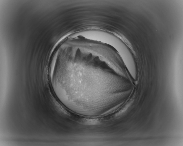 X0000083970798200703091801