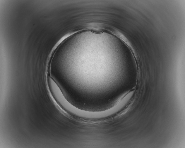 X0000083970803200703091801