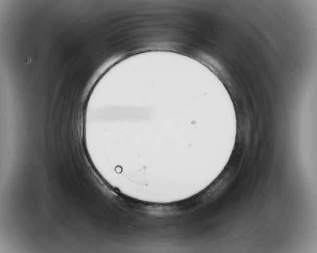 X0000083970804200703091801