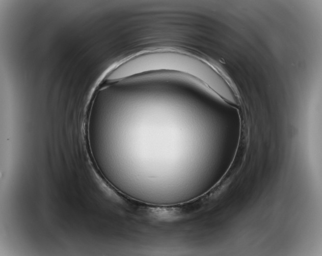 X0000083970805200703091801