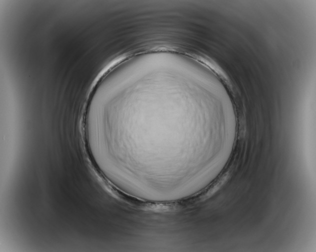 X0000083970806200703091801