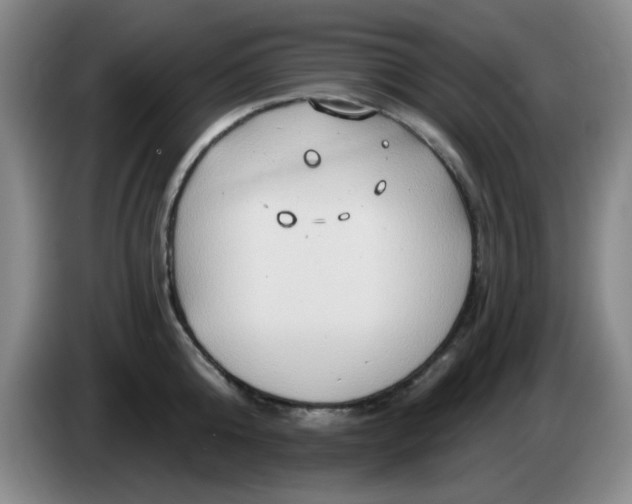 X0000083970808200703091801