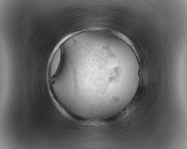 X0000083970811200703091801