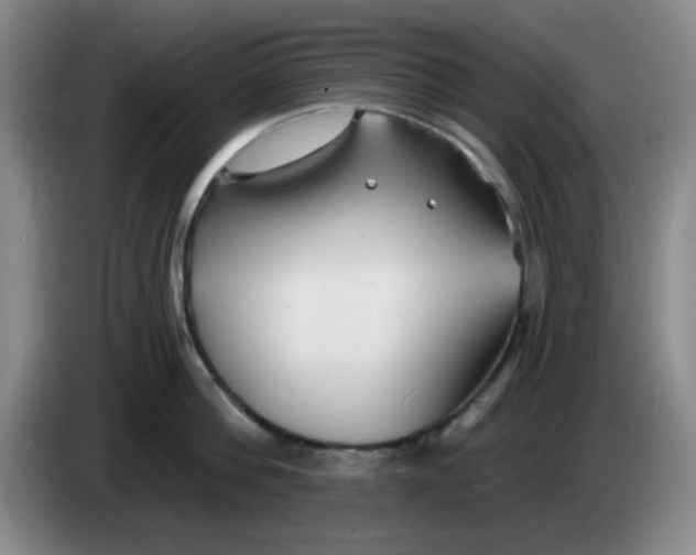 X0000083970812200703091801